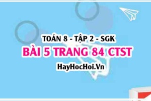 Bài 5 trang 84 Toán 8 Tập 2 Chân trời sáng tạo